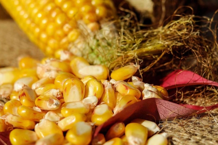 Рецепт кукурузных оладий с зеленью и специями