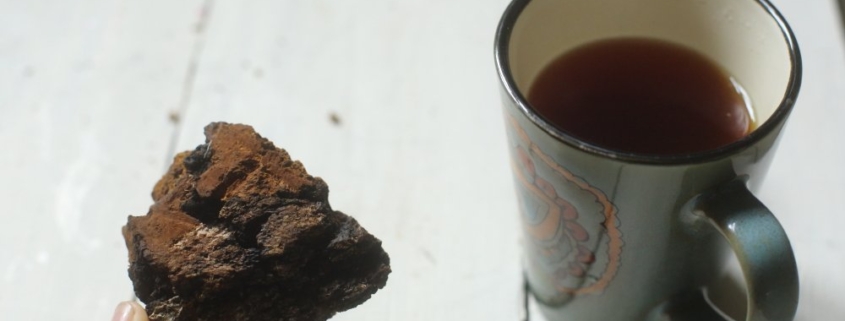 Чай из чаги — суперфуда, которому нет равных
