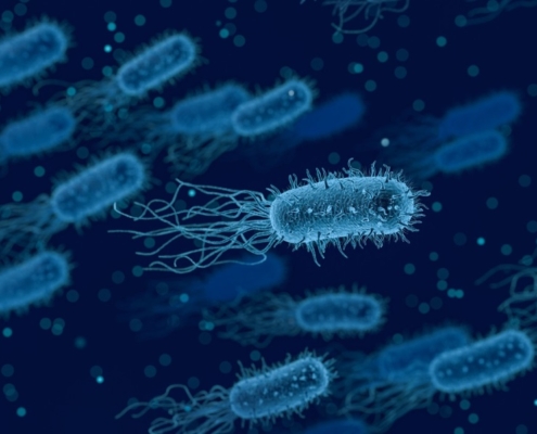 Война микробов или что делать после приема антибиотиков