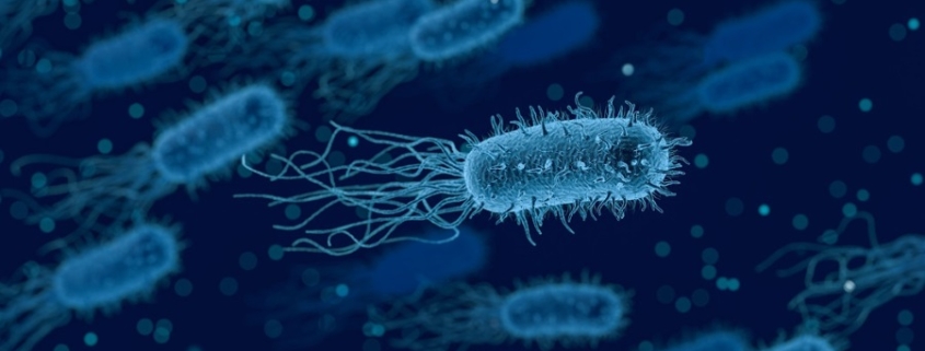 Война микробов или что делать после приема антибиотиков